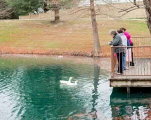 Duck Pond at Sundara Memory Care Community in Round Rock