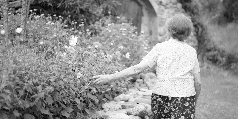 Dealing with Dementia and Wandering Behavior